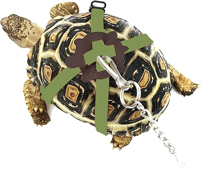 Bonaweite Turtle Leash Small Pets Turtle Leash and Harness Pet Tortoise Leash Walking Rope for Turtle Supplies Adjustable Control Rope for Outdoor Walking Training Green