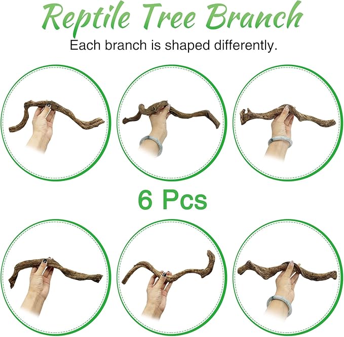 Reptile Branch Decor Snake Climbing Wood Branches Lizard Habitat Decorations Terrarium Natural Forest Tree Trunk Ornament for Bearded Dragon Geckos Chameleon Frog 6 Pcs - S