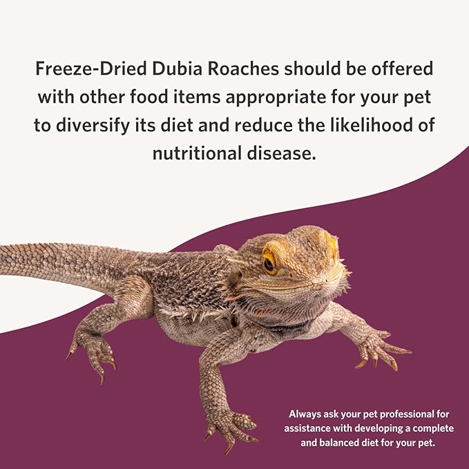 Fluker's Freeze Dried Dubia Roaches, Ideal for Lizards, Reptiles, Birds, Fish, Hedgehogs, 1.7 oz