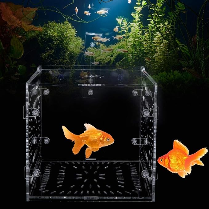 Fish Isolation Breeding Box Acrylic Incubator Floating Aquarium Hatchery Breeding and Parenting Box for Fish Aquarium(15CM*15CM*15CM)