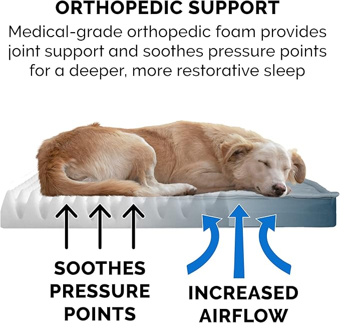 Furhaven Water-Resistant Orthopedic Dog Bed for Large Dogs w/ Removable Quilt Top & Washable Cover, For Dogs Up to 95 lbs - Indoor/Outdoor Quilt Top Convertible Mattress - Calm Blue, Jumbo/XL