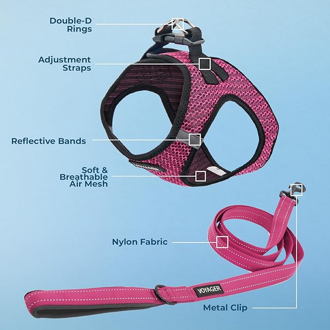 Voyager Step-in Air All Weather Mesh Harness and Reflective Dog 5 ft Leash Combo with Neoprene Handle, for Small, Medium and Large Breed Puppies by Best Pet Supplies - Fuchsia (2-Tone), XL