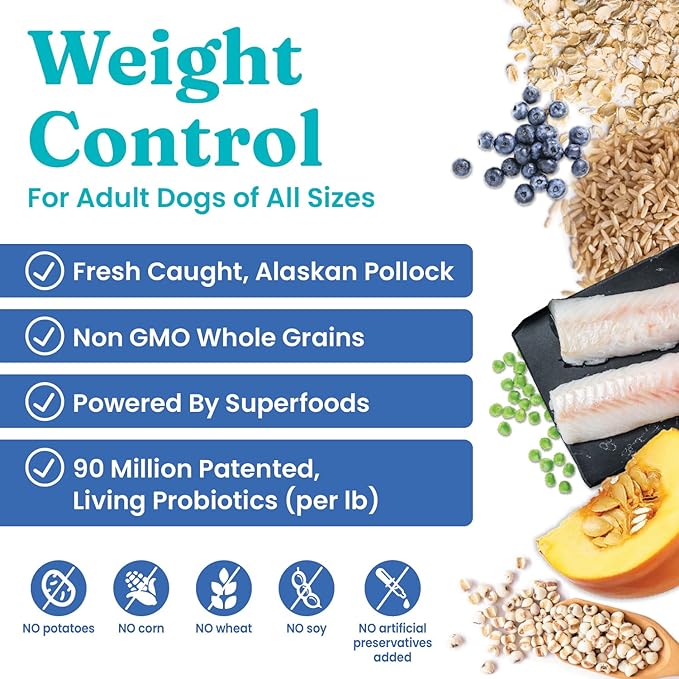 Solid Gold Fit and Fabulous Pollock - Dry Dog Food for Weight Control - Digestive Probiotics for Dogs - Gluten Free - High Fiber & Low Fat - Omega, Superfood & Antioxidant Support - 4 LB