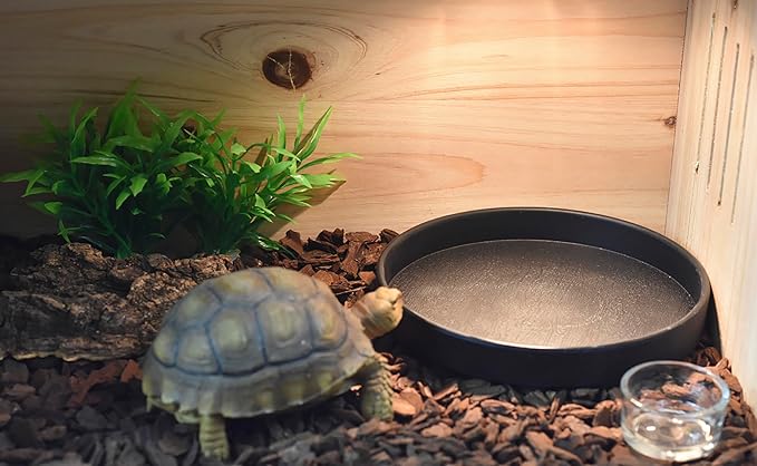 OMEM Reptile Food Bowl Water Dish,Feeding Dish, Birds Bowl (S, Black)