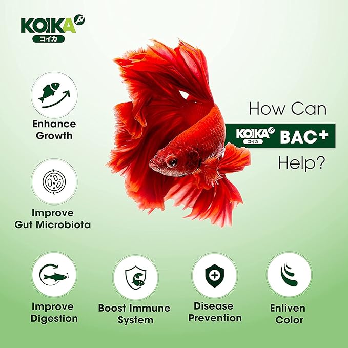 BAC+ Aquarium Probiotics, Pleasant Smell, Immunity Boosting, Disease Resistance (BAC+ (New Formula), 120ml)