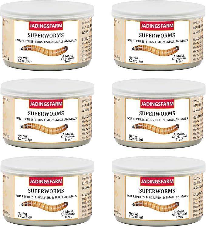 6 Pack Canned Superworms for Reptiles, Fish, Birds and Small Animals, Super Worms, Healthy High Protein Treat, Reptile Bird Fish Food 1.2 Ounces Each