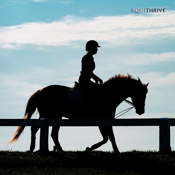 Equithrive Original Joint Supplement Pellets with Resveratrol and Hyaluronic Acid for Horses in Training and Competition and Senior Horses, Equine Care, 10 lbs