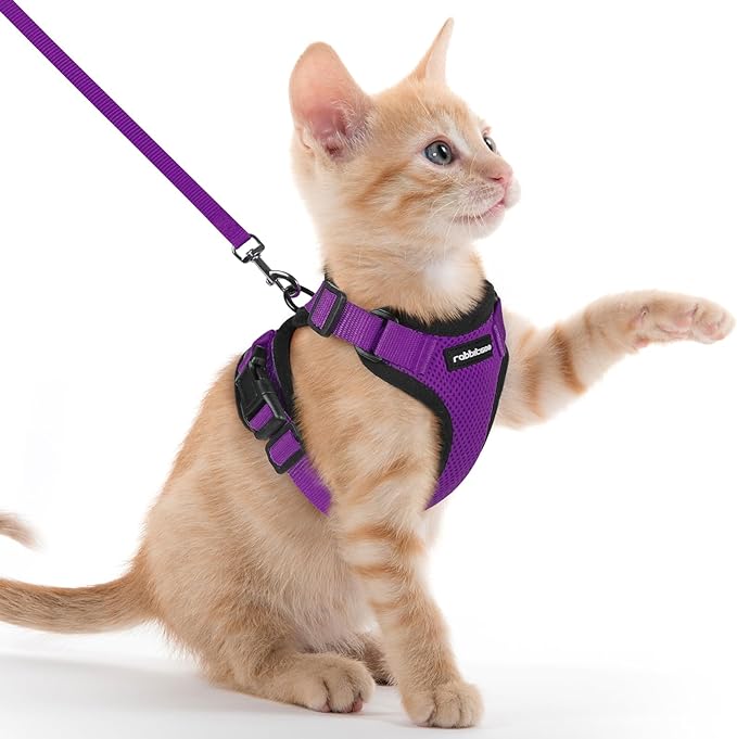 rabbitgoo Cat Harness and Leash for Walking, Escape Proof Soft Adjustable Vest Harnesses for Cats, Easy Control Breathable Reflective Strips Jacket, Purple, XXS