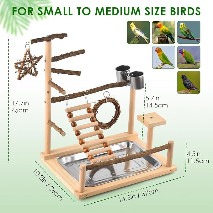 KATUMO Bird Playground Bird Perch Stand Natural Parrot Playstand Parakeet Platform Conure Swing Toy Cockatiel Ladder Bird Cage Toys with Removable Tray and 2 Stainless Steel Cups