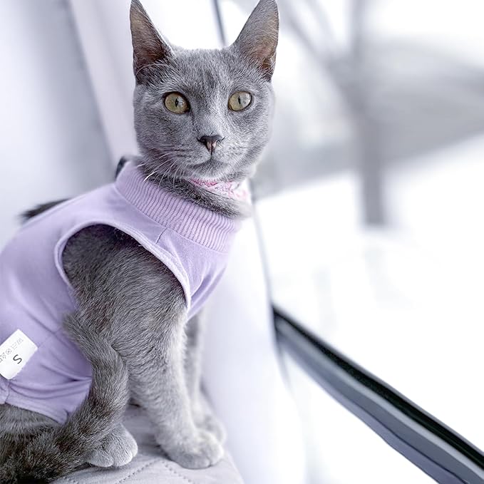 Cat Recovery Suit for Male and Female Surgical Post Surgery Soft Cone Onesie Shirt Clothes Neuter Licking Protective Diapers Outfit Cover Kitten Spay Collar(M, Purple)