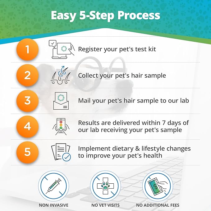 5Strands Pet Food and Environmental Intolerance Test, at Home Sensitivity Test for Dogs & Cats, Hair Sample Collection Kit, 395 Items Tested, Results in 5 Days, Works for All Ages and Breeds