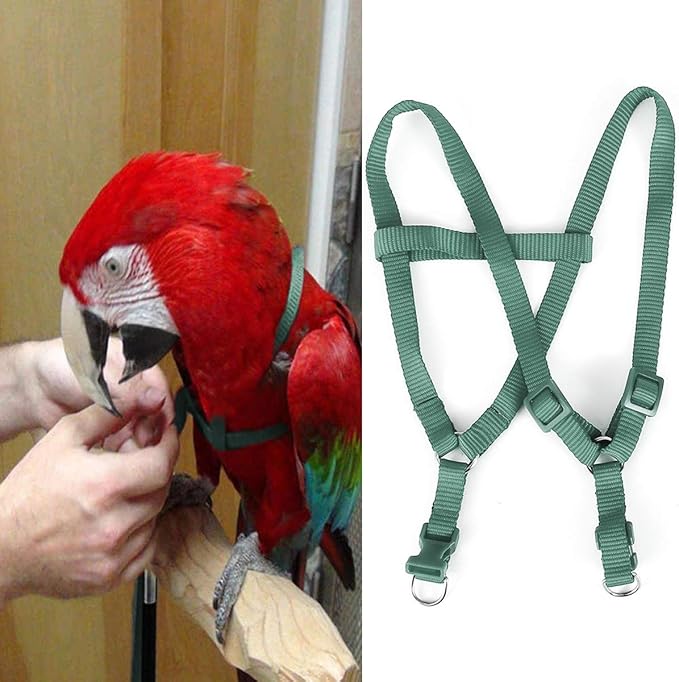 Pet Parrot Bird Harness and Leash, Adjustable Parrot Traction Harness Leash, Outdoor Flying Training Rope Anti Bite Training Rope for Parrot Macaw Cockatoos