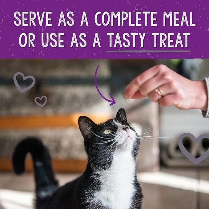 Stella & Chewy's Freeze-Dried Raw Cat Dinner Morsels – Grain Free, Protein Rich Cat & Kitten Food – Plate Lickin' Pork Recipe – 8 oz Bag
