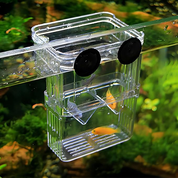 in-Tank Aquarium Breeder Box for Fish Tank, Breeding Incubator for Small Fish Hatchery, Acrylic Divider for Shrimp Clownfish Aggressive Fish Injured Fish (Small)