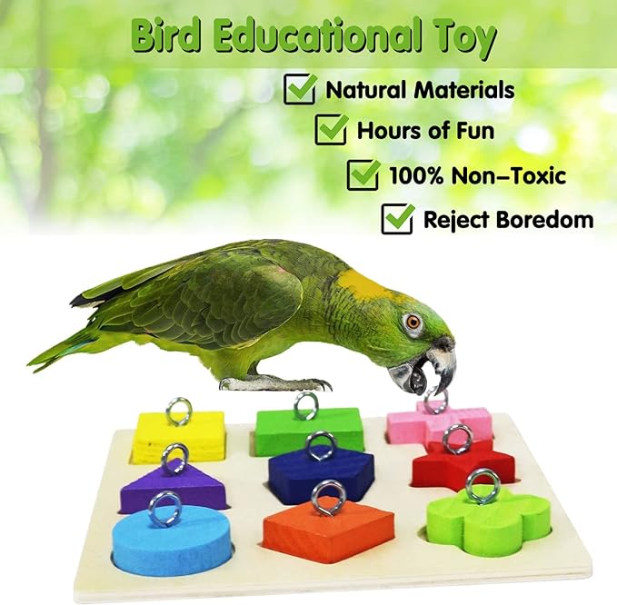 BWOGUE 12PCS Bird Training Toys Parrot Intelligence Toy Mini Sneaker Skateboard Parrot Wooden Block Puzzles Toy Bird Basketball Toy Stacking Rings for Budgie Parakeet Cockatiel Conure Lovebird