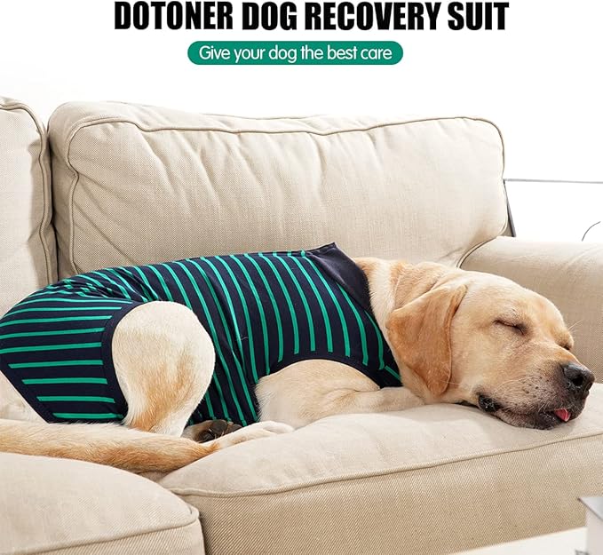 Dotoner Dog Recovery Suit Abdominal Wound Puppy Surgical Clothes Post-Operative Vest Pet After Surgery Wear Substitute E-Collar & Cone(XL,Green)