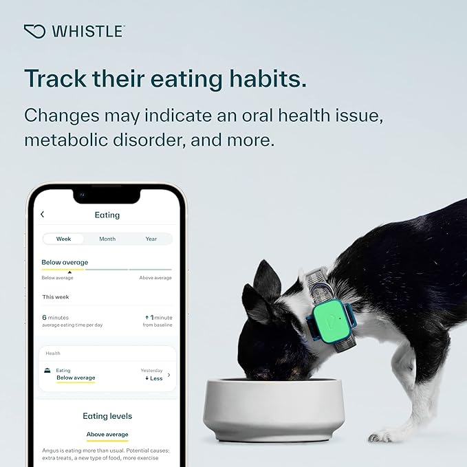 Whistle Health Smart Device | Dog Health and Fitness Tracker | Track Scratching, Licking, Drinking, Eating, Sleeping, and Activity, Green