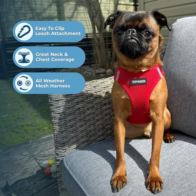 Voyager Step-in Air Dog Harness - All Weather Mesh Step in Vest Harness for Small and Medium Dogs and Cats by Best Pet Supplies - Harness (Red), XXX-Small