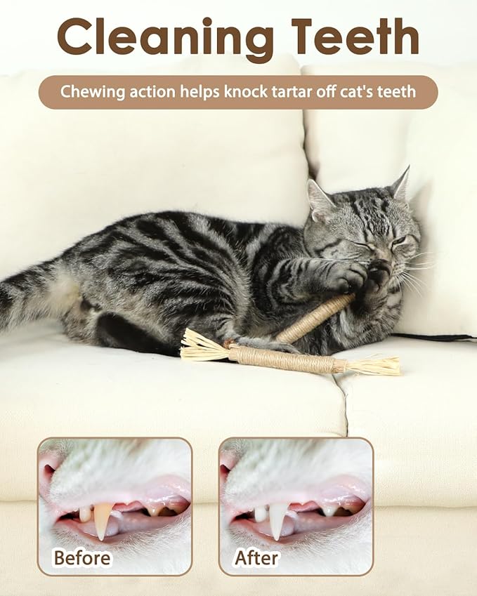 Tocirelo Silvervine Sticks Cat Toys - 6 Pack Natural Cat Chew Stick Toy for Cat Dental Care Teeth Cleaning, Matatabi Cat Nip Treat Toys for Indoor Cats Kittens