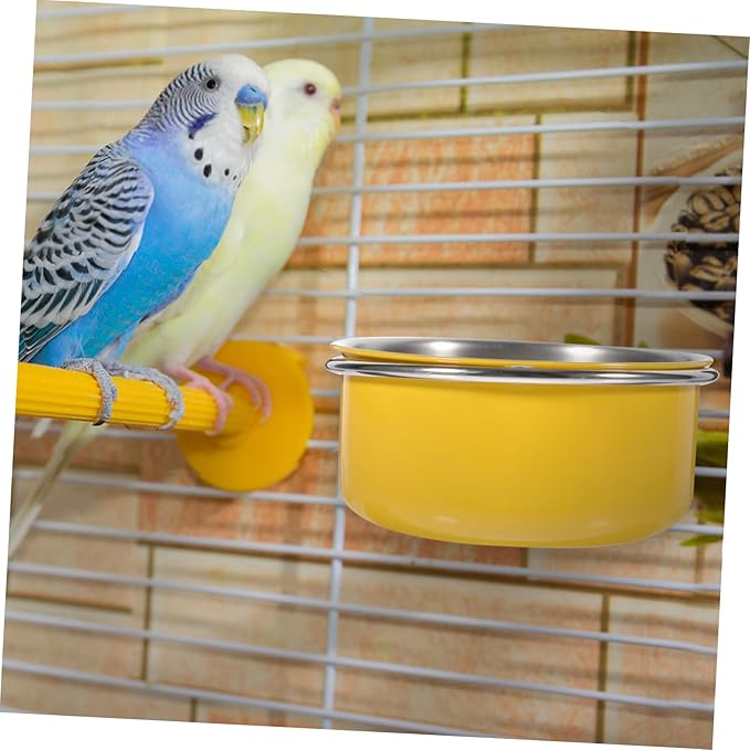 Parrot Food Bowl Container The Birdcage Bird Cage Parrot Food Cup Bird Food Feeder Parakeet Feeder Cockatiels Feeder Parrot Feeding Cup Stainless Steel Indoor Water Cup