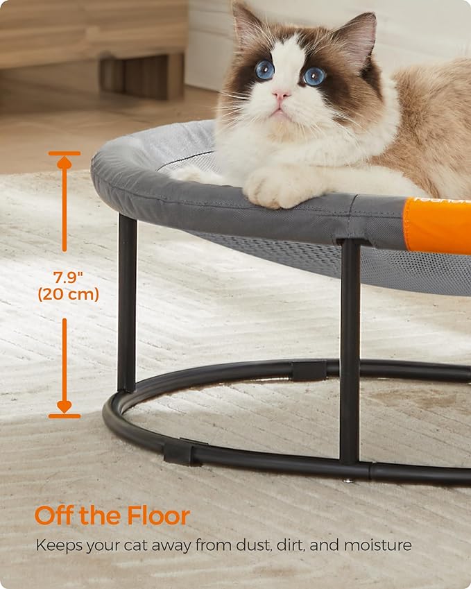 Feandrea Pet Bed, Elevated Cat Bed for Large Cats, Dog Bed for Small Dogs, with Removable Washable Mesh, for Pets up to 28 lb, Oval, Gray UPCB002G01