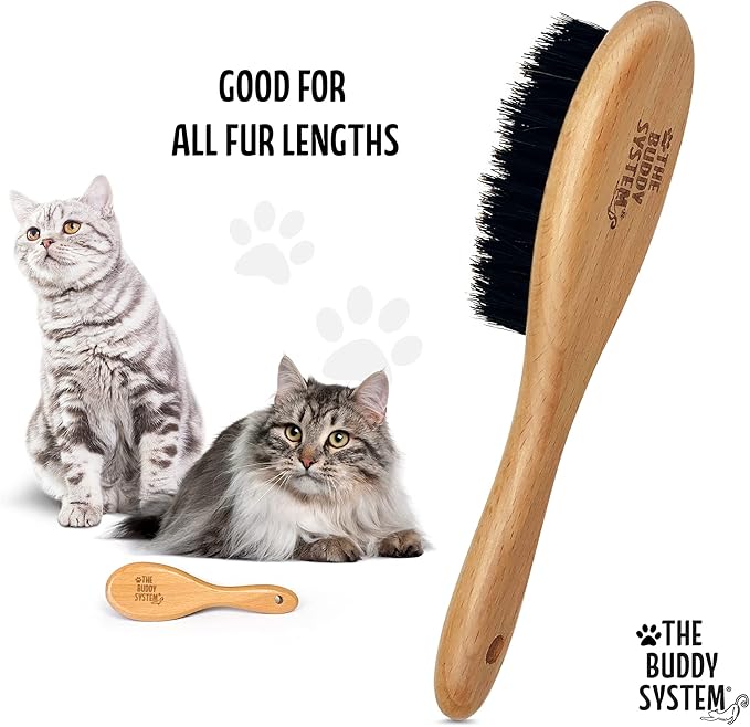 The Buddy System Cat Brush with Boar Bristle and Wooden Handle, Professional Grade Daily Grooming Hairbrush, Reduce Shedding, Soft Hair and Healthy Shine (2 Pack)