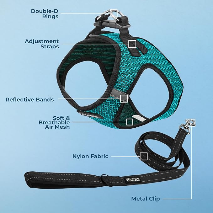 Voyager Step-in Air All Weather Mesh Harness and Reflective Dog 5 ft Leash Combo with Neoprene Handle, for Small, Medium and Large Breed Puppies by Best Pet Supplies - Turquoise (2-Tone), M