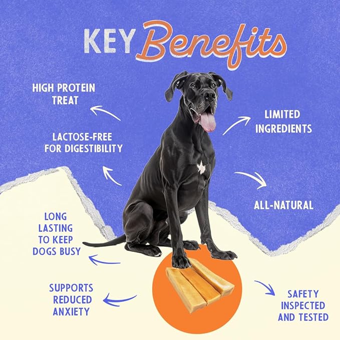 Himalayan Dog Chew Original Yak Cheese Dog Chews, 100% Natural, Long Lasting, Gluten Free, Healthy & Safe Dog Treats, Lactose & Grain Free, Protein Rich, Large, Dogs 55 Lbs & Smaller