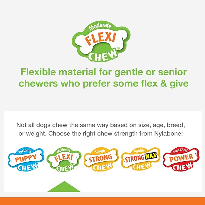 Nylabone Moderate Chew FlexiChew Bone Peanut Butter & Bacon XX-Small/Tiny (2 Count)