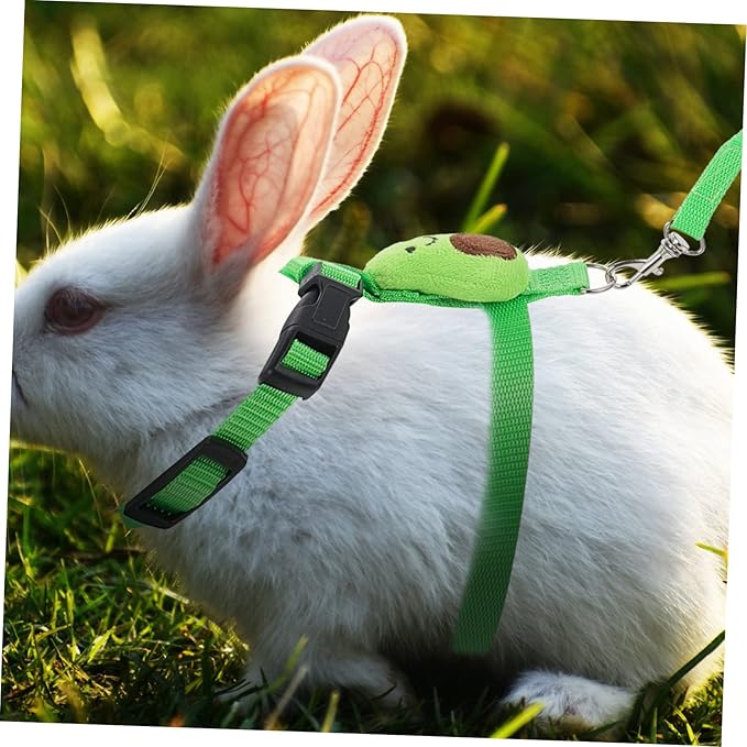 1 Set Rabbit Leash Hedgehog Avocado Leash Mini Pig Harness Ferret Walking Vest Bunny Harness and Leash for Rabbits Rabbit Harness kit Bunny Harness Large Polyester pet Hamster