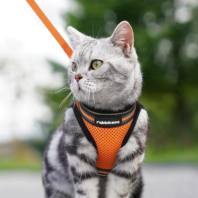 rabbitgoo Cat Harness and Leash Set for Walking Escape Proof, Adjustable Soft Kittens Vest with Reflective Strip for Cats, Comfortable Outdoor Vest,Light Orange,S