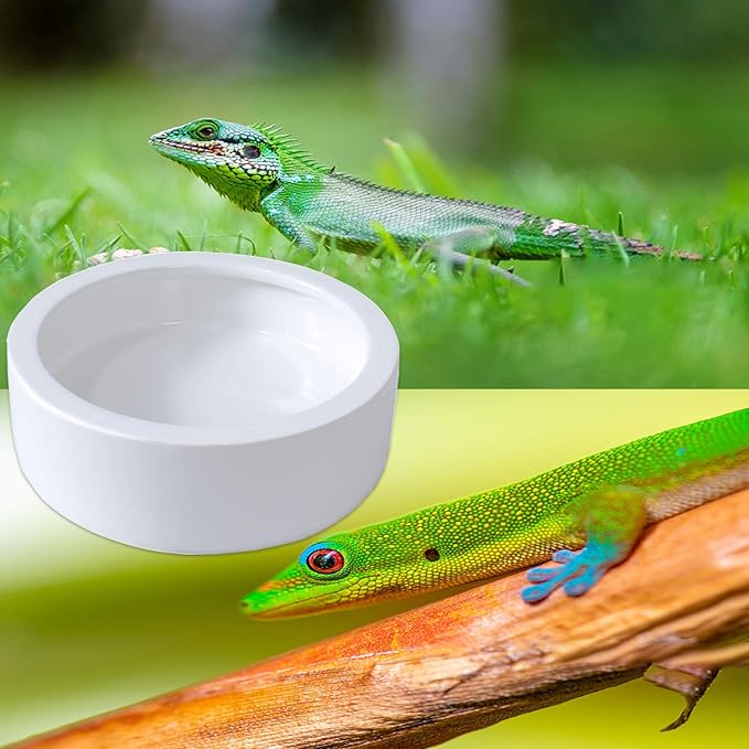 2 Pack Bearded Dragon Ceramic Bowl Worm Dish Reptile Food Bowl (M, White)