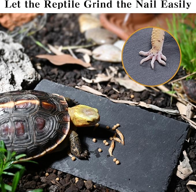 Small Reptile Basking Platform 2 Pcs Reptile Basking Rock Natural Turtle Food Bowl Dish 9.84 x 4.72 inch Feeding Slate Rock for Lizard Tortoise Bearded Dragon Chameleon Gecko Frog Snake