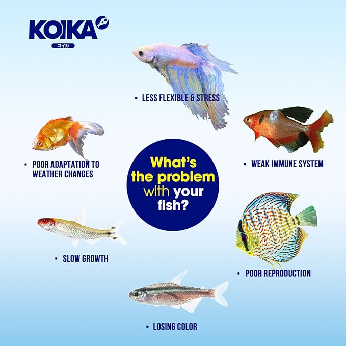 BACM Natural Color Enhancement for Fish, Combination of Probiotic & Multi-Vitamins for Aquarium A, B6, B2, Pleasant Smell (BACM, 105ml)