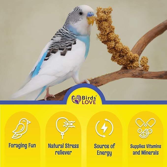 Birds LOVE Millet Tips & Tails for Birds - Parakeets, Cockatiels, Lovebirds, Finches, Budgies, Canaries, Cockatoos - Natural & Healthy Millet for Birds - Parakeet Food & Treats for All Parrots, 1lb