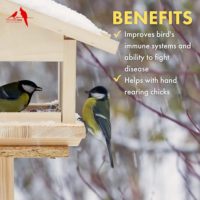 Morning Bird Thrive, Nutritious Energy Supplement with Minerals, Vitamins, Amino Acids, Electrolytes, and Protein, 3 lbs
