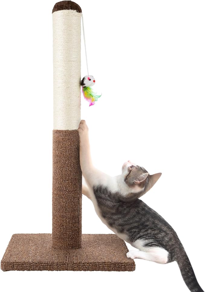 PETMAKER Cat Scratching Post - Tall Scratcher for Cats and Kittens with Sisal Rope and Carpet, Hanging Mouse Toy for Interactive Play (24.5 Inch)