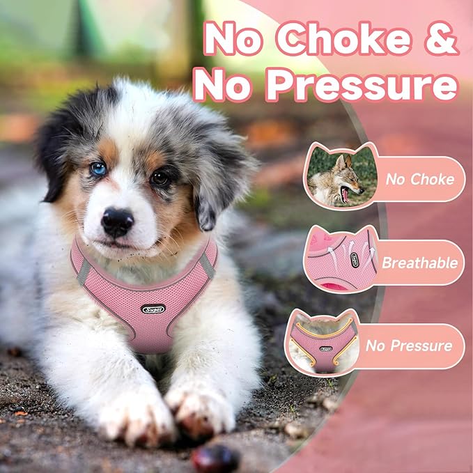 Supet Cat Harness and Leash Set for Walking Cat and Small Animal Harness Soft Mesh Puppy Harness Adjustable Cat Vest Harness with Reflective Strap Comfort Fit for Pet Kitten Puppy Rabbit