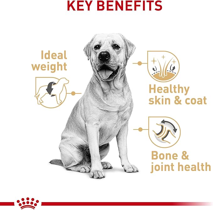 Royal Canin Labrador Retriever Adult Dry Dog Food, 30 lb bag