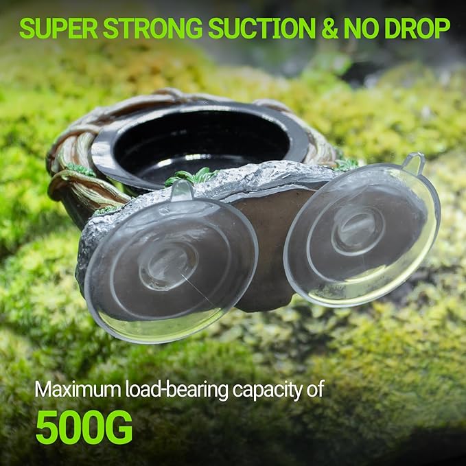 REPTI ZOO Crested Gecko Feeding Ledge, Reptile Water Food Dish for Bearded Dragon Lizard Snake Turtle, Vine Reptile Feeder Bowl Terrarium Tank Decor Accessories