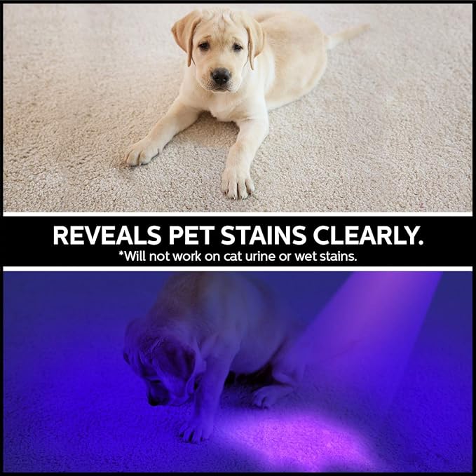 GearLight UV Black Light Flashlight XR98 - Powerful Patented 100 LED Blacklight Flashlights, Pet Stain Detector for Dog Urine, Scorpions, and Bed Bugs - Works with Carpet Odor Eliminator and Remover