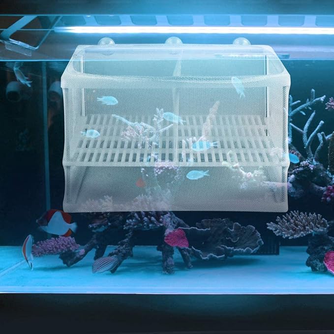 U R Fish Incubator Mesh U R Aquarium Breeding Hatchery Fish Tank Isolation U R Fish Breeder U R Young Fish Hatchery Incubator with Isolation Board (L)