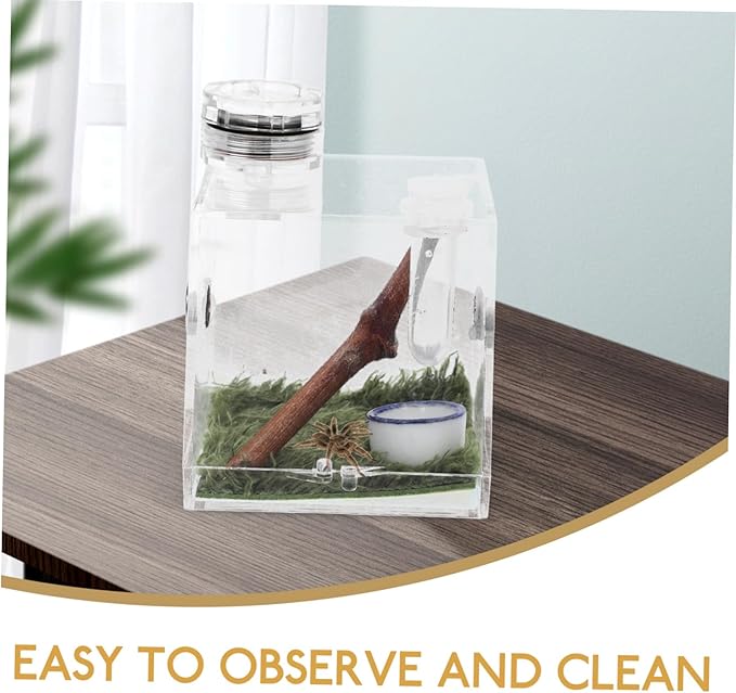 Mipcase 4pcs Box Jumping Spider Breeding Box Spider Habitat Cage Vivarium Tank Spiderling Enclosure Reptile Terrarium Lizard Terrarium Small Spider Enclosure Acrylic Wood Pet Little Spider