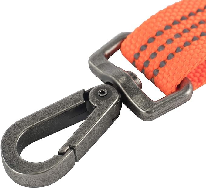 Carhartt Dog Leash, Durable Nylon Webbing Dog Leash, Hunter Orange, Small