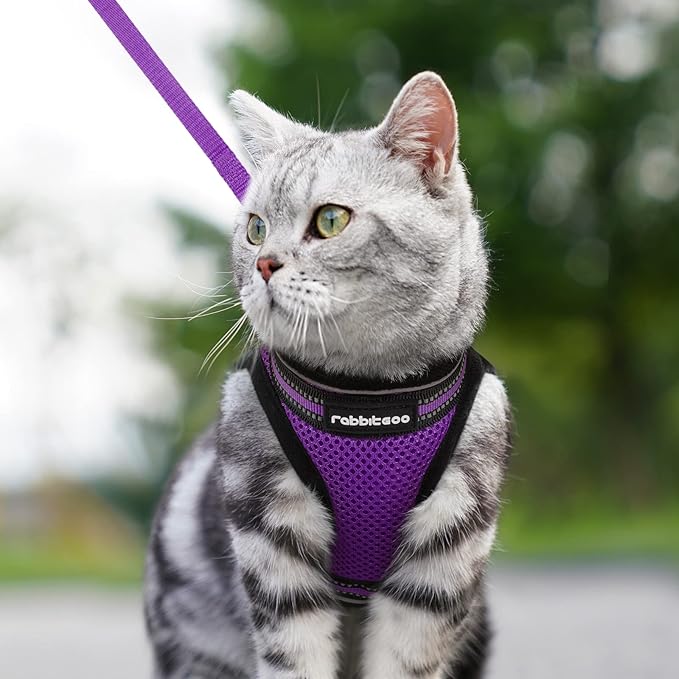 rabbitgoo Cat Harness and Leash Set for Walking Escape Proof, Adjustable Soft Kittens Vest with Reflective Strip for Cats, Comfortable Outdoor Vest, Purple, L