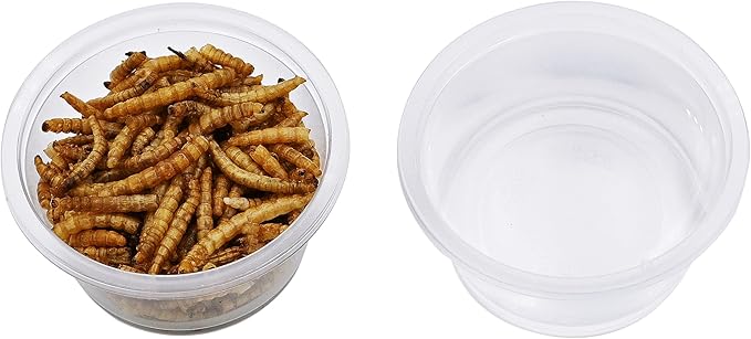 100pcs 2oz Crested Gecko Food and Water Feeding Cups, Reptile Feeder Bowls, for Lizard and Other Small Pet Ledge Accessories Supplies