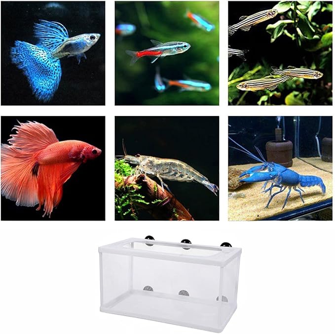 Large Fish Breeder Net with Suction Cups,Nylon Mesh Fish Fry Hatchery Breeder Isolation Box Separation Net for Fish/Plants/Shrimp Fish on Aquarium Tank