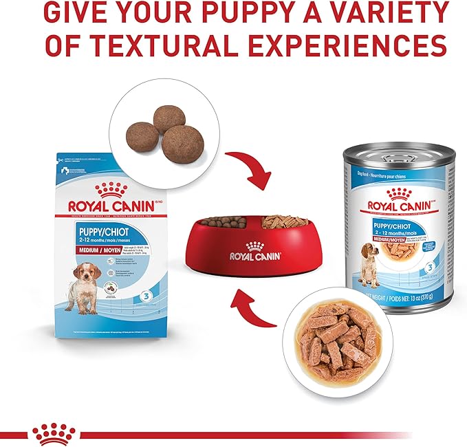 Royal Canin Size Health Nutrition Medium Puppy Dry Dog Food, 6 lb bag Size Health Nutrition Medium Puppy Thin Slices in Gravy Wet Dog Food, 13 oz can (12-count)