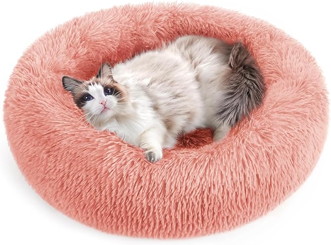 rabbitgoo Cat Beds for Indoor Cats, 24 inches Cat Bed Machine Washable, Fluffy Round Pet Bed Non-Slip, Calming Soft Plush Donut Cuddler Cushion Self Warming for Small Dogs Kittens, Pink, Large