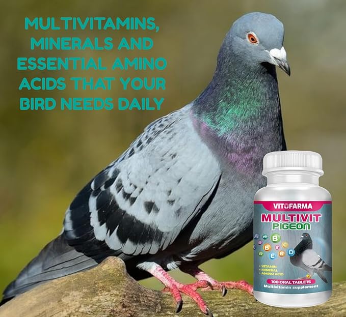 MULTIVIT Pigeon para palomas 100 Tabs Vitamins Minerals Aminoacids for Racing Pigeons Show Pigeons Rollers Supplement for Birds